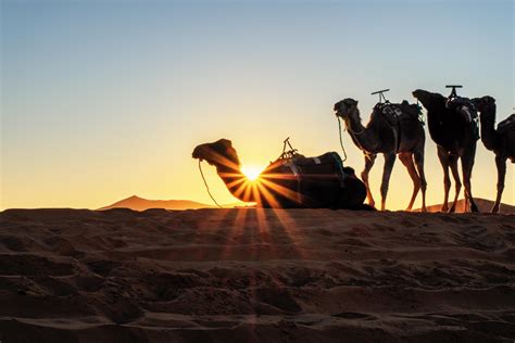 ITAP of Sunrise at the Merzouga Desert (1920x1280) [OC] : r/itookapicture