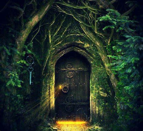 Magical Door | Portal art, The magic faraway tree, Fantasy art landscapes