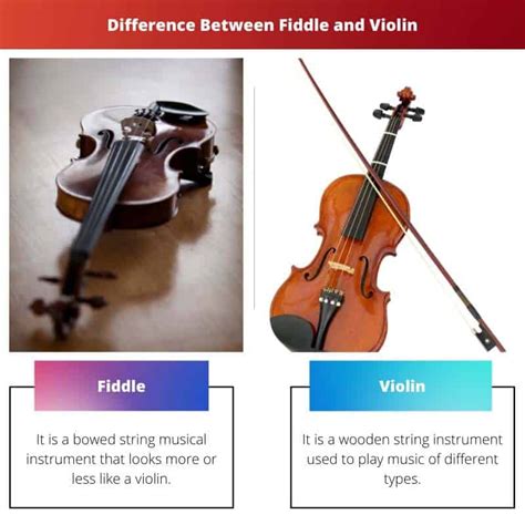 Fiddle vs Violin: Difference and Comparison