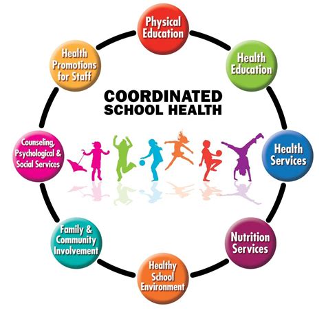 CSH diagram | Health education, School health, Health services