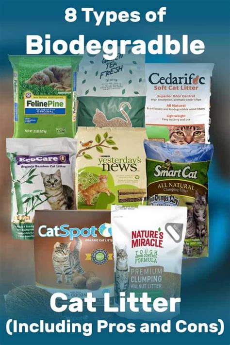 8 Types of Biodegradable Cat Litter (Including Pros and Cons)