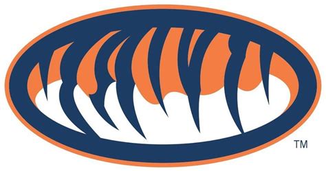 Auburn University Tiger Logo N2 free image download