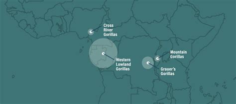 Mountain Gorilla Habitat Map