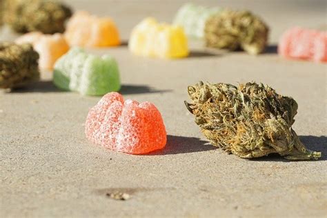 How can you benefit from weed edibles? - Food N Health