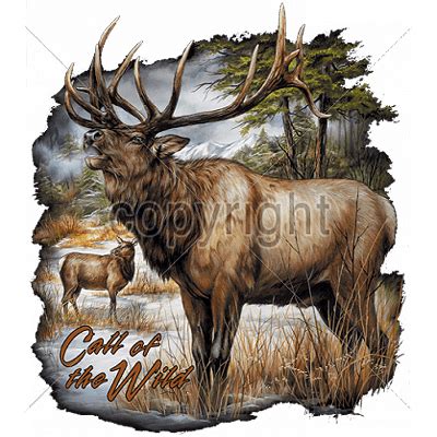 Elk T Shirt Call Of The Wild From Animalden.com