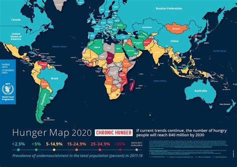 World Hunger Statistics 2020 - Food Aid Foundation