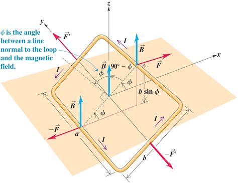 electromagnetism - Torque on a magnetic dipole - Physics Stack Exchange