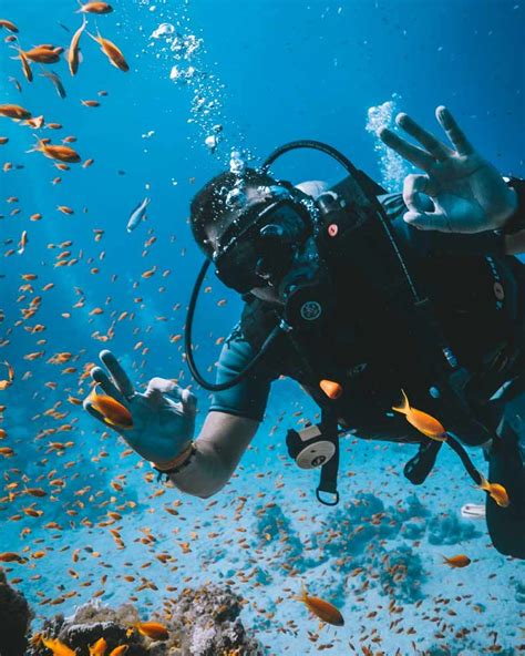 Types of Diving: Which One to Choose | DPM Diving