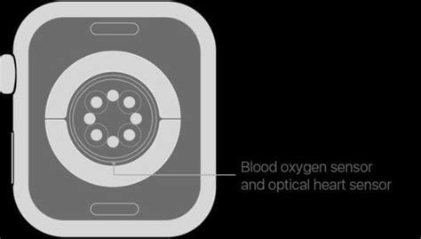 How Accurate Is the Apple Watch Blood Oxygen Sensor? - AppleToolBox