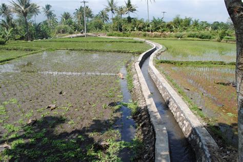 SIASAT GARUT: TINGKATKAN PRODUKSI PERTANIAN, SALURAN IRIGASI DESA DI REHABILITASI