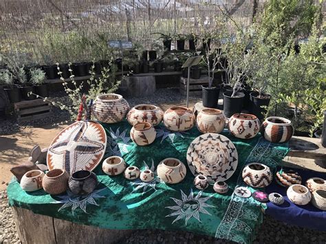 Native Cultures: Seri people – Tree of Life Nursery