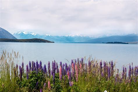 #BEAUTY OF EARTH #SERENITY Lake Tekapo, National Photography, Earthporn, During The Summer ...