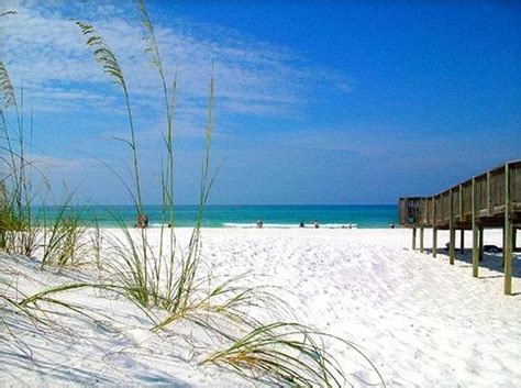 Pin by Rema Dean on i love this land | Mexico beach florida, Panama city beach fl, Florida beaches