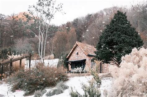 South Korea is The Winter Wonderland Getaway You Want and Need! - Klook Travel Blog