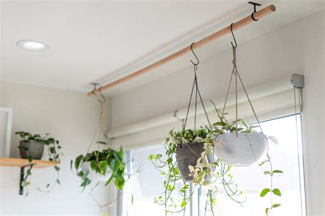 How to Make a Simple DIY Plant Hanging Rod — mod musings