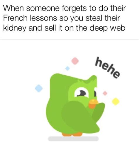 Duolingo Memes French