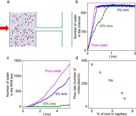 Molecular dynamics simulations a, Side view of our molecular dynamics ...