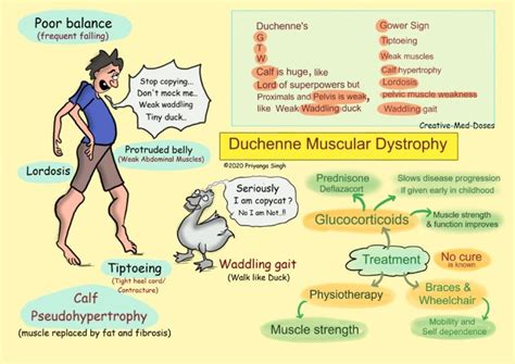 Duchenne muscular dystrophy illustrations - Creative Med Doses