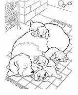 Realistic puppy coloring Pages Download And print For free sketch template