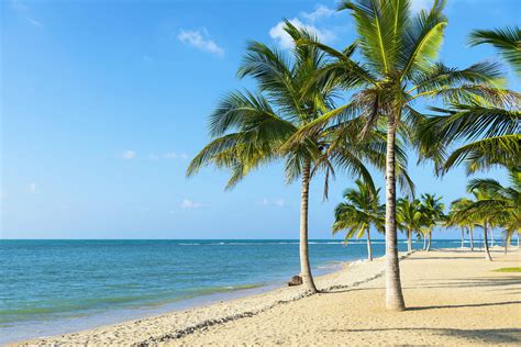 The 10 best beaches in Sri Lanka - Lonely Planet