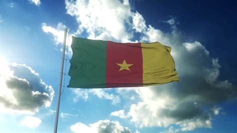 The Flag of Cameroon: History, Meaning, and Symbolism - » BiharHelp.Com