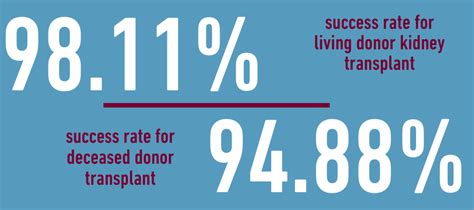 Kidney Transplant Surgery: What You Need to Know | Temple Health