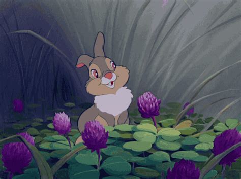 Thumper And Miss Bunny Gif