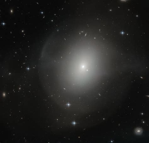 A Incrivelmente Nova e Dinâmica Galáxia Elíptica NGC 2865