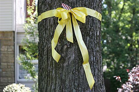 Yellow Ribbon Tree Stock Photos, Pictures & Royalty-Free Images - iStock