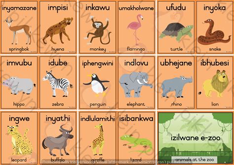 ISIZULU – ENG = IZILWANE E-ZOO / ZOO ANIMALS • Teacha!