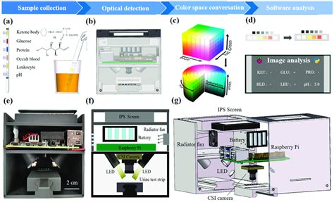 Schematic illustration of an optical POCT-based colorimetric analysis ...