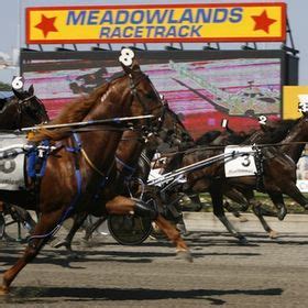 9 Great Pacers in Meadowlands Racetrack History ideas | harness racing, horse pictures ...