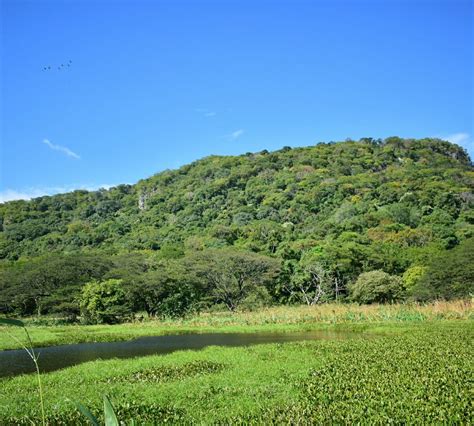 Palo Verde National Park - All You Need to Know BEFORE You Go (2024)