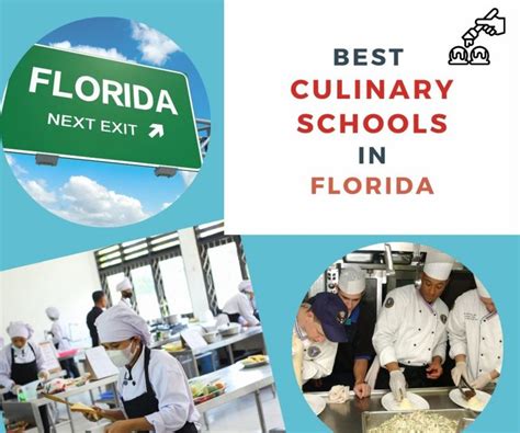 Best 11 Culinary Schools in Florida - Chef's Pencil