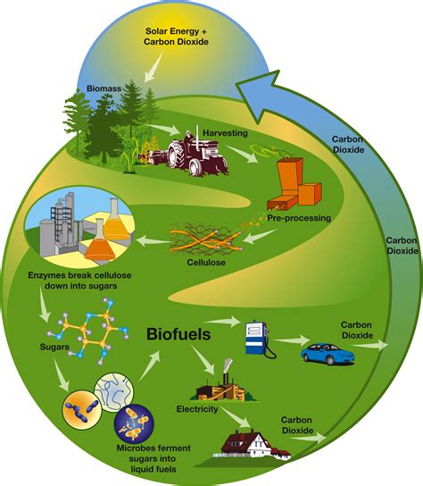 Team uses cellulosic biofuels byproduct to increase ethanol yield