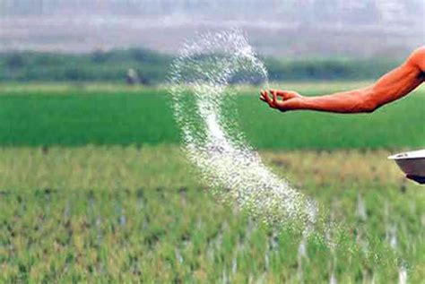 Nano Urea can enhance farmer’s crop yields and save nitrogen to the ...