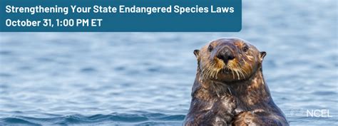 HalloweEndangered Species: Strengthening Your State Endangered Species Laws | National Caucus of ...