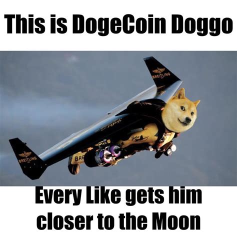 These Dogecoin Memes Are Going Straight To The Moon - Dodgecoin | Memes