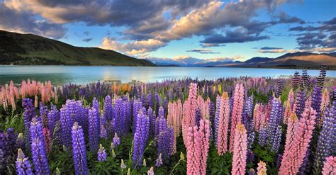 New Zealand spring photo workshop, 25 November – 5 December | Daniel Kordan