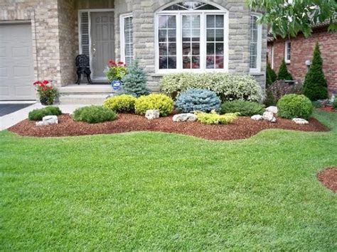 Wonderful Evergreen Grasses Landscaping Ideas 107 | Shrubs for landscaping, Small front yard ...