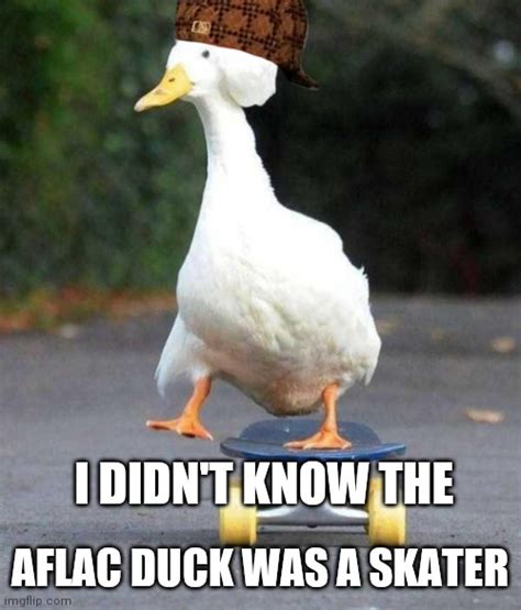 Aflac duck - Imgflip