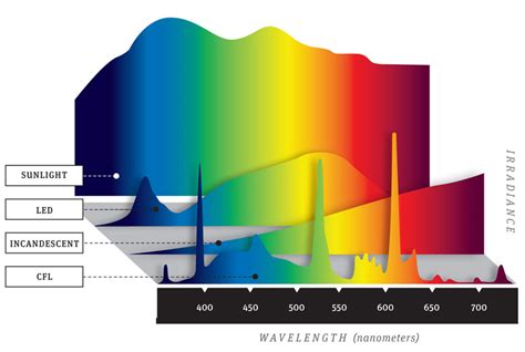 Ultimate Light Bulb Test - Incandescent vs. Compact Fluorescent vs. LED