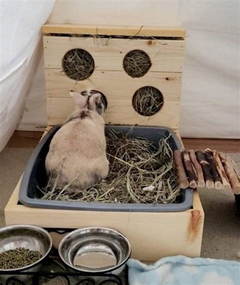 Rabbit Litter Box, Litter Pan, Rabbit Hay, Rabbit Cages, Bunny Paws ...