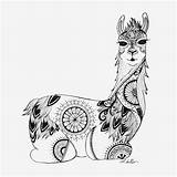 Llama Coloring Pages Printable  Templates sketch template