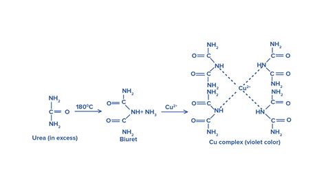 When ammonium cyanate is heated for a long time, the product is: