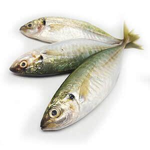 Online delivery of SEAFOODS/Salay Salay Fish in the Philippines