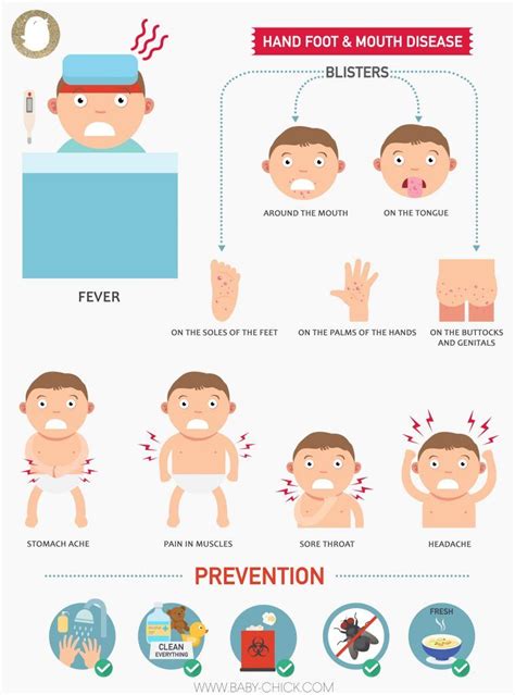 Hand Foot And Mouth Disease Stages