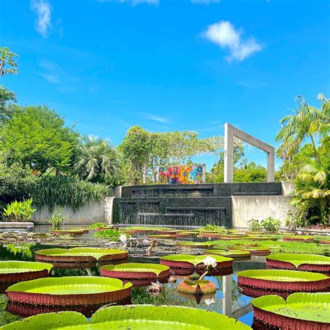 Naples Botanical Garden (@NaplesBotanical) / Twitter