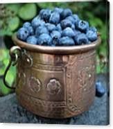 Antique French Pot Full of Blueberries Photograph by Vicky Adams