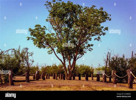 Love Lake, Al Qudra United Arab Emirates Desktop Stock Photo - Alamy